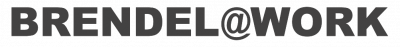 Brendel - Steigtechnik